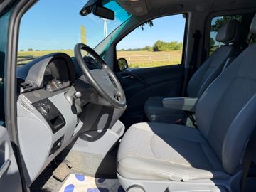 Mercedes Viano - 8