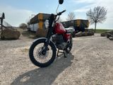 Mz MZ ETZ 250 - Offers matching your search criteria