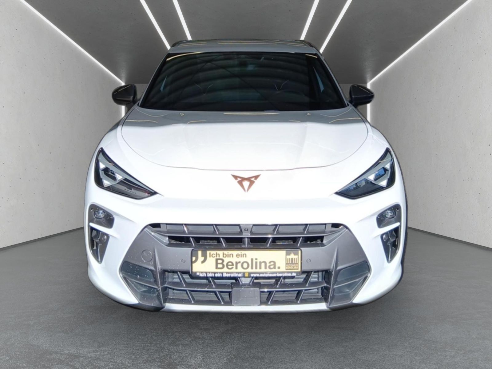Cupra Terramar - Bild 6
