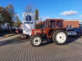 Fiat 55-66 DT gepflegter original Zustand - Fiat Dt