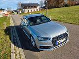 Audi A4 3.0 TDI tiptronic quattro sport Avant s-line - Audi A4 mit Diesel-Antrieb: 3.0