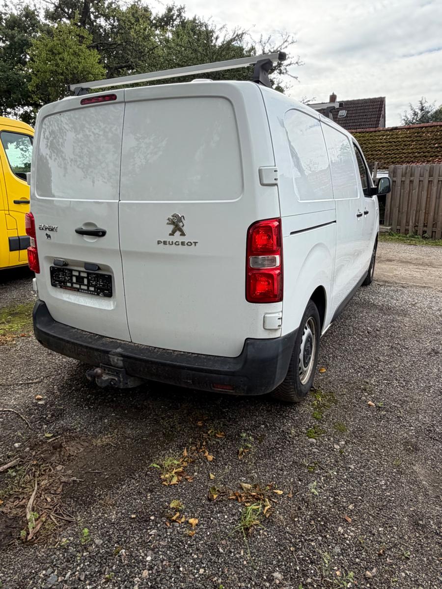 Peugeot Expert Kasten Pro L2