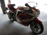 Suzuki GSX-R - SUZUKI BENZIN RENNSPORT GSX R