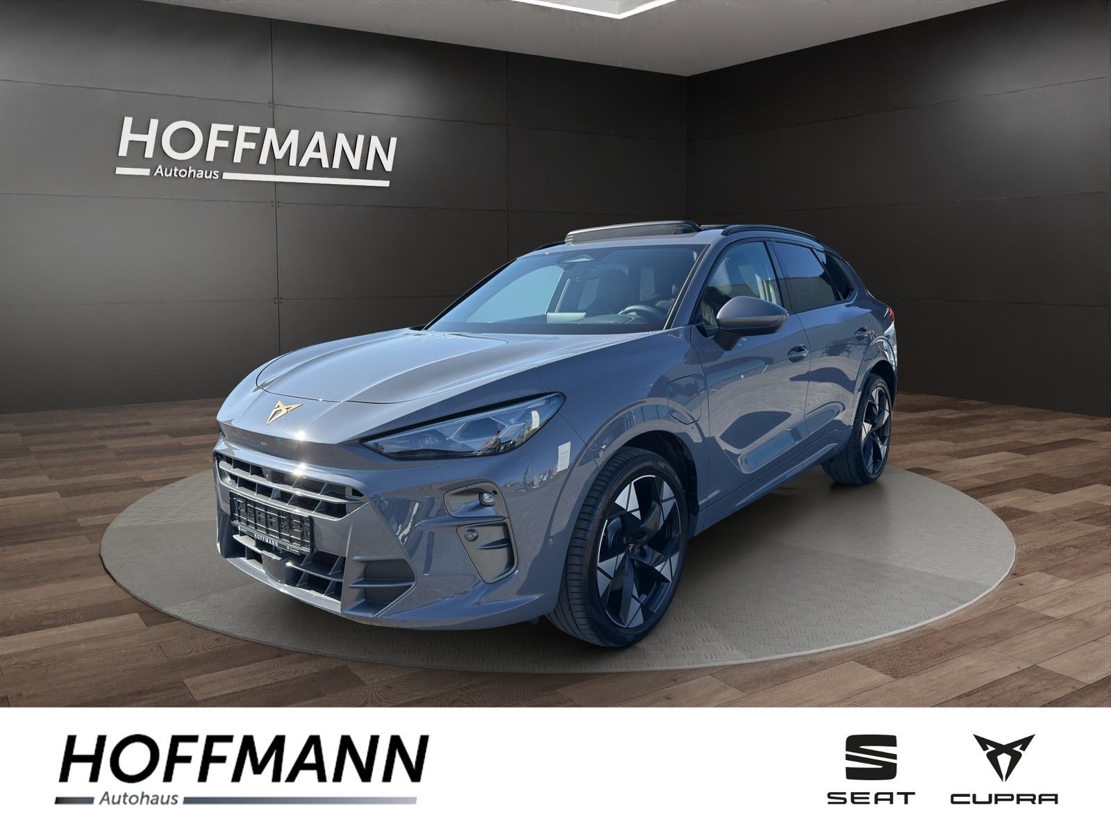 Fahrzeugbild von Cupra Terramar