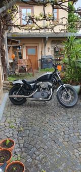 Harley-Davidson Sportster Nightster XL 1200 N - HARLEY-DAVIDSON 2010 SPORTSTER 1200