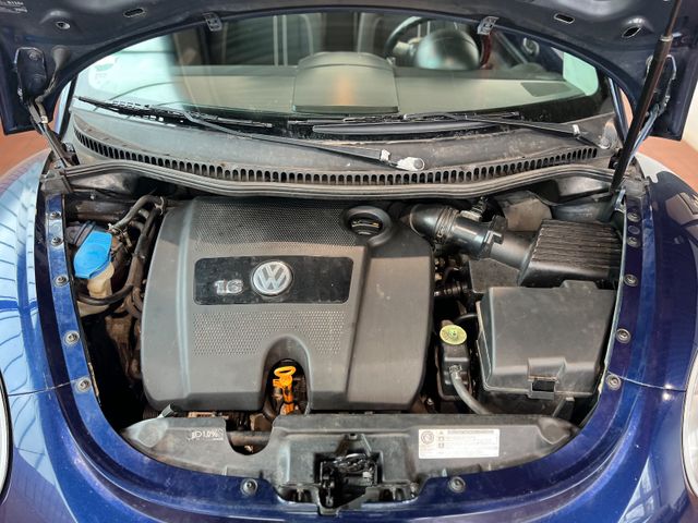 Volkswagen New Beetle