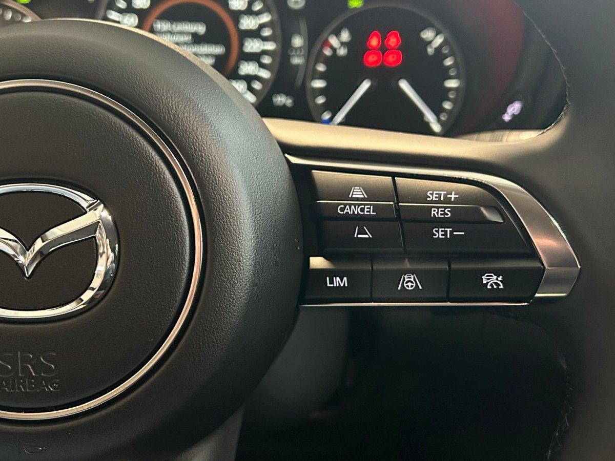 Mazda CX-30 Takumi 186 PS *GSD*Leder*Kamera*, миниатюра 16