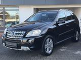 Mercedes-Benz ML 500 5,5l V8 AMG Comand Bi Xenon H&K AHK RFK  - Mercedes-Benz Ml AMG