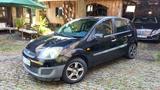 Ford Fiesta 1,3 51 kW Fun X  - Ford Fiesta aus 2006: Fun