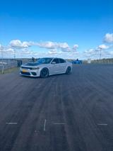 Dodge Charger 392 scat pack - Dodge Charger von privat