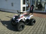 Andere Tom RIDE TR280*650 Watt*48 Volt versch. Farben - ELEKTRO QUAD