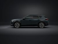 Cupra Formentor - Vorschau Bild 3