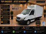 Mercedes-Benz Sprinter 316 CDI Kühlkoffer TK V300 Max -30C.* - Mercedes-Benz Sprinter: Allradantrieb, Van
