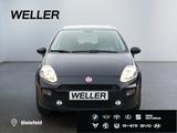 Fiat Punto 1.4 8V *Bluetooth*Klimaautomatik*Colorglas - Fiat Punto Gebrauchtwagen