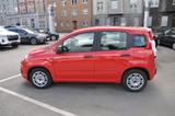 Fiat Panda Urban - Fiat Panda Gebrauchtwagen in Dortmund