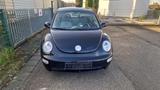 Volkswagen New Beetle - Volkswagen Beetle: New