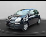 Fiat FIAT Panda My25 1.0 70cv Hybrid Panda - Fiat Panda Jahreswagen
