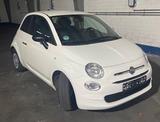 Fiat 500 Cult - Fiat 500: Cult