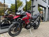 Triumph Tiger 1200 GT Pro *Top gepflegt* - TRIUMPH TIGER 1200 GT PRO