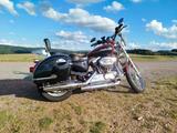 Harley-Davidson XL1200C Sportster 1200 Custom-Koffer/Scheibe/A2 - HARLEY-DAVIDSON 2006 SPORTSTER 1200