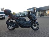 Honda Forza125 Special Ed. incl. Anlieferung - HONDA NEU ROLLER