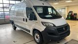 Fiat Ducato 2.3   MAXI- L5H2 160 ps - Fiat Ducato: L5