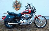 Harley-Davidson XL1200C  SPORTSTER CUSTOM 