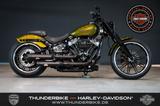 Harley-Davidson Softail FXBRS Breakout 114 Jekill&Hyde - HARLEY-DAVIDSON SOFTAIL BREAKOUT 114 FXBRS