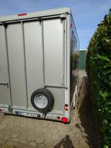 Ifor Williams Eventa L gold,Wohnka.,3-Pferde,WC,Küche,Herd - Tier-/Pferdetransport 3 pferde
