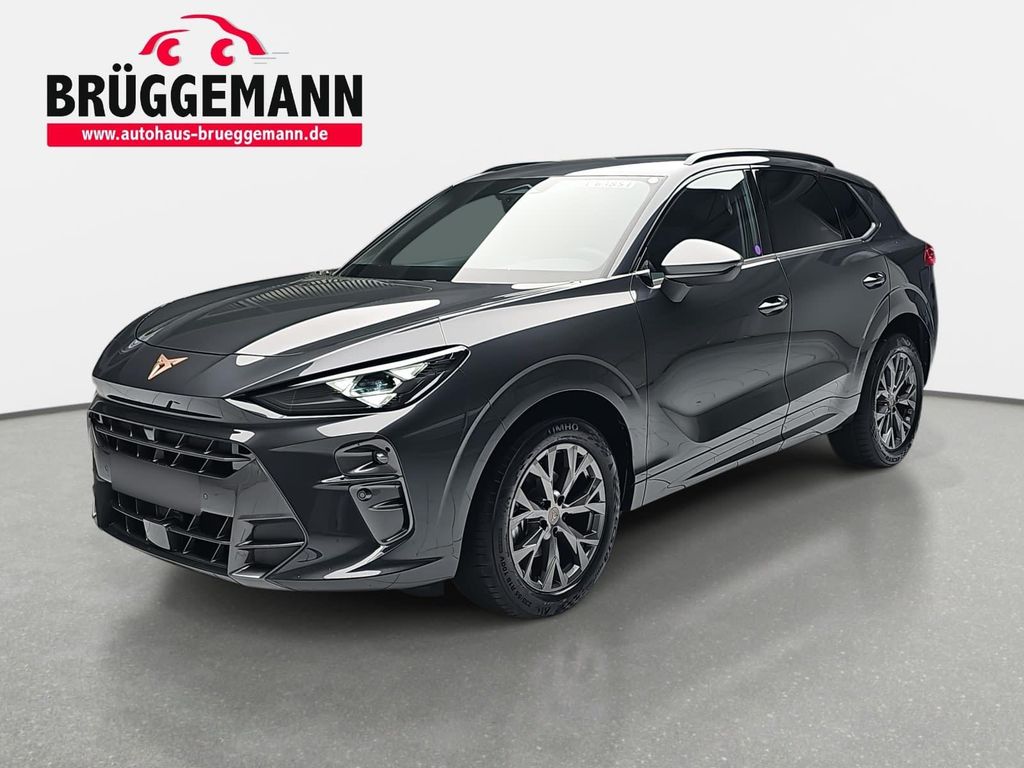 Image of Cupra Terramar