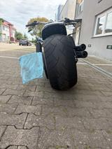 Harley-Davidson V-Rod Custom Cult-Werk - HARLEY-DAVIDSON V ROD CUSTOM
