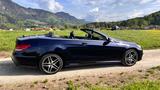 Mercedes-Benz E 220 d Cabrio AMG-Line Automatic EU6 - mit Diesel-Antrieb: Blau, Vollleder, Cabrio