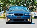 Ford 2001 Ford Mustang GT Convertible Saleen Su... - Ford Mustang aus 2001