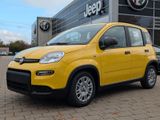 Fiat Panda MY25 70PS  Hybrid City Paket NP  18.180€ - Fiat Panda Neuwagen mit Benzin-Antrieb