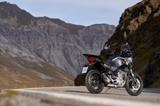 Moto Guzzi Stelvio PFF ARAS!!! Inkl. Seitenkoffer, Topcase - Offers