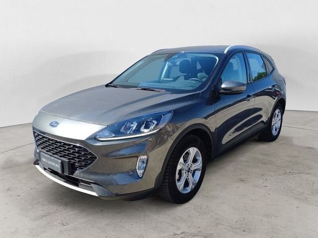 Ford Kuga 1.5 EcoBlue 120 CV 2WD Titanium Busine