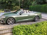 Audi Cabriolet - mit Diesel-Antrieb: Grün, Cabrio