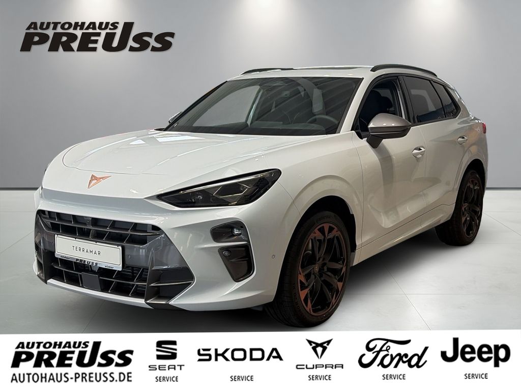 Image of Cupra Terramar