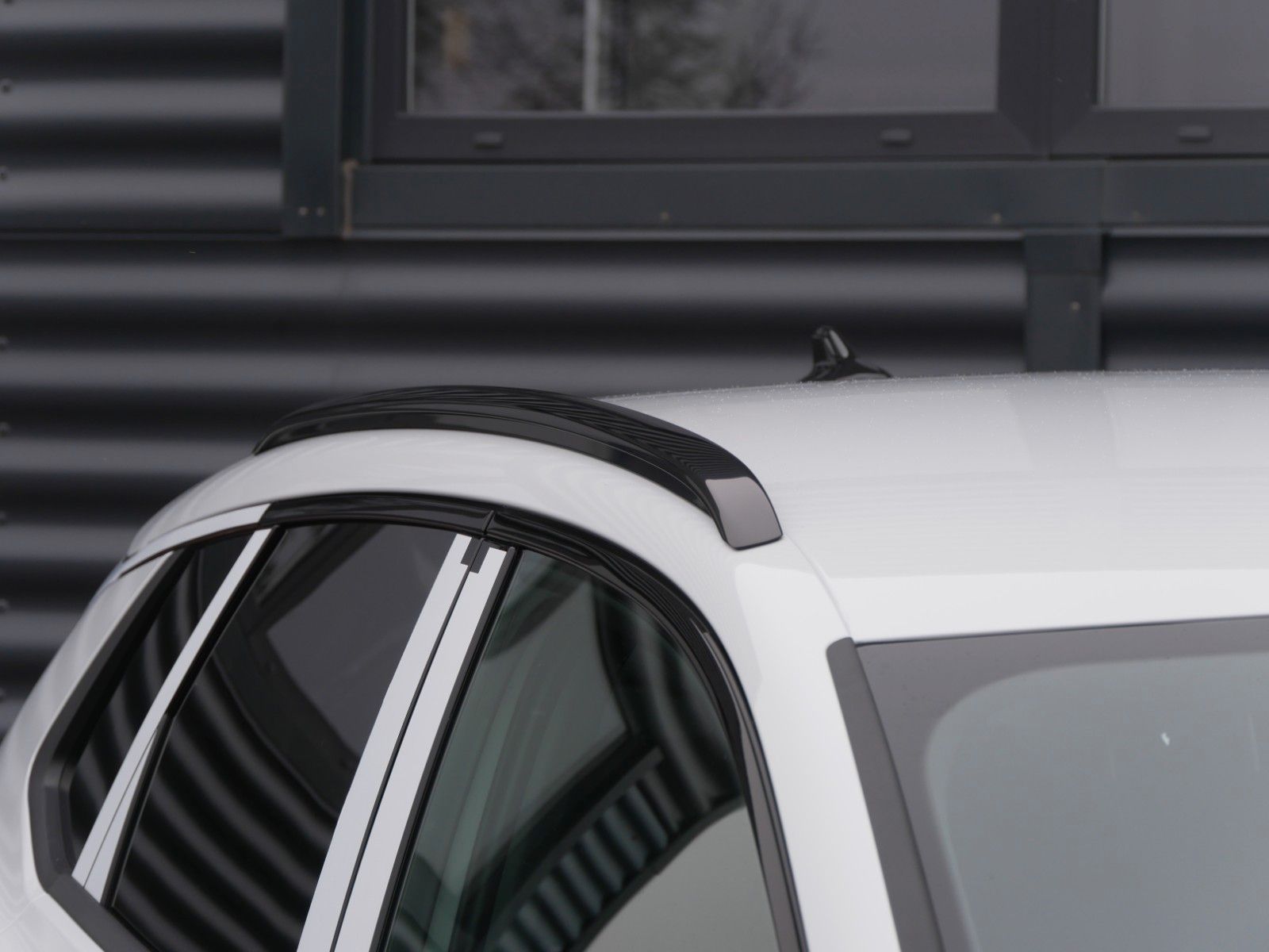 Cupra Terramar - Bild 3