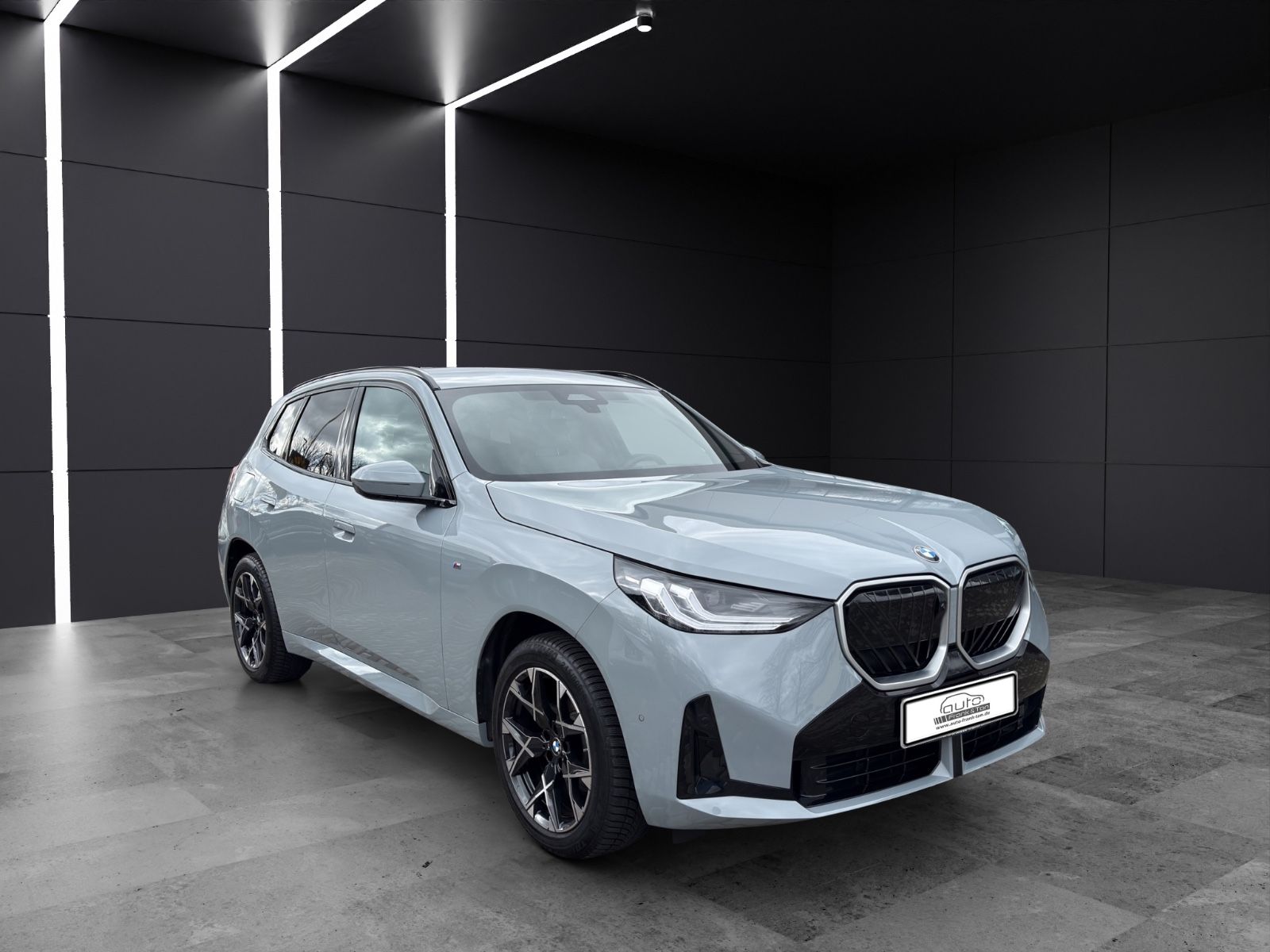 Fahrzeugabbildung BMW X3 xDrive M Sport*Apple*Memory*360 Kamera*