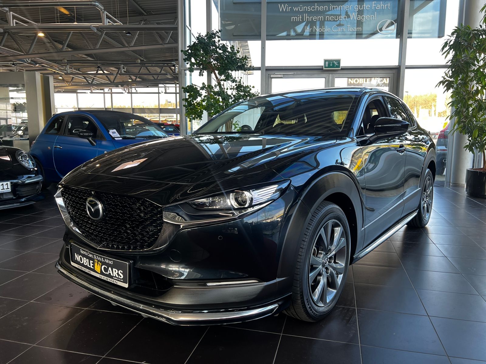 Fahrzeugabbildung Mazda CX-30 Selection AWD 360° BOSE LED NAVI