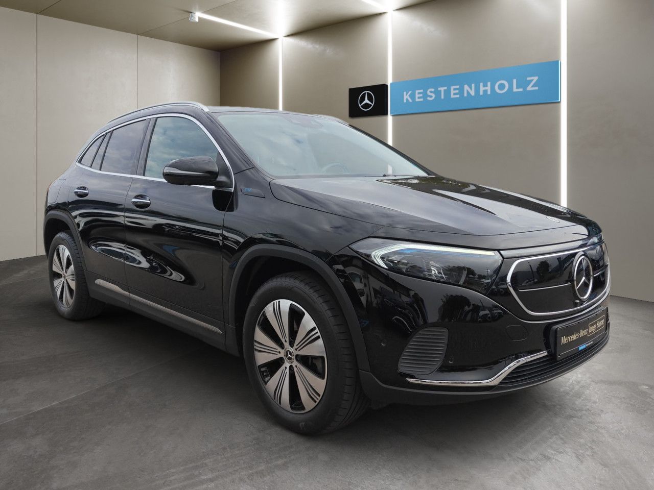Mercedes-Benz EQA 250 Pano LED Keyl-GO Kamera Laderaump PTS imagem 3