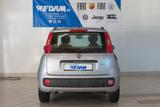 Fiat Panda Lounge 1.2 8V *Klima,LM-Felgen* - Fiat Panda: 1.1