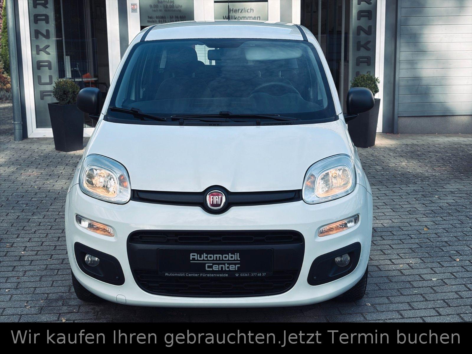 Fiat Panda CITY LIFE  1.2+Klima+1.Hand+erst 28Tkm+ZV+