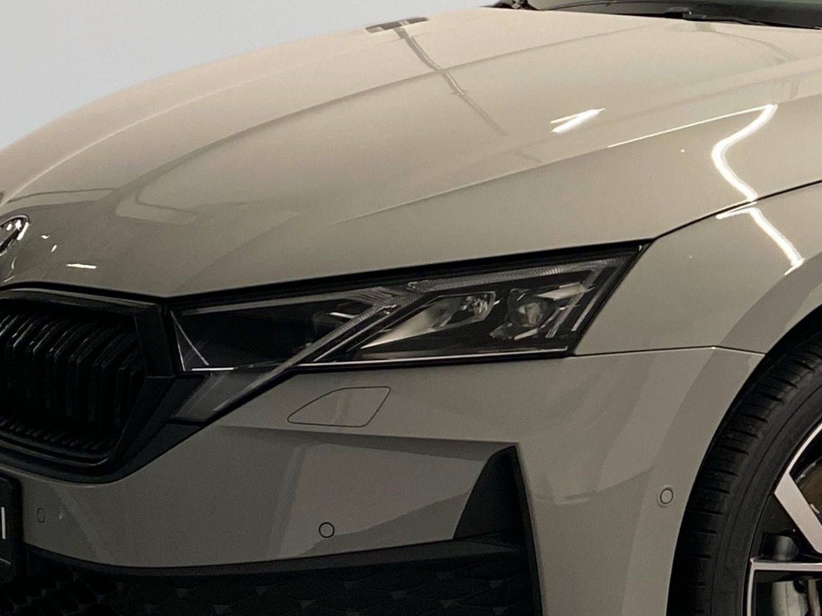 Skoda Octavia - Bild 6