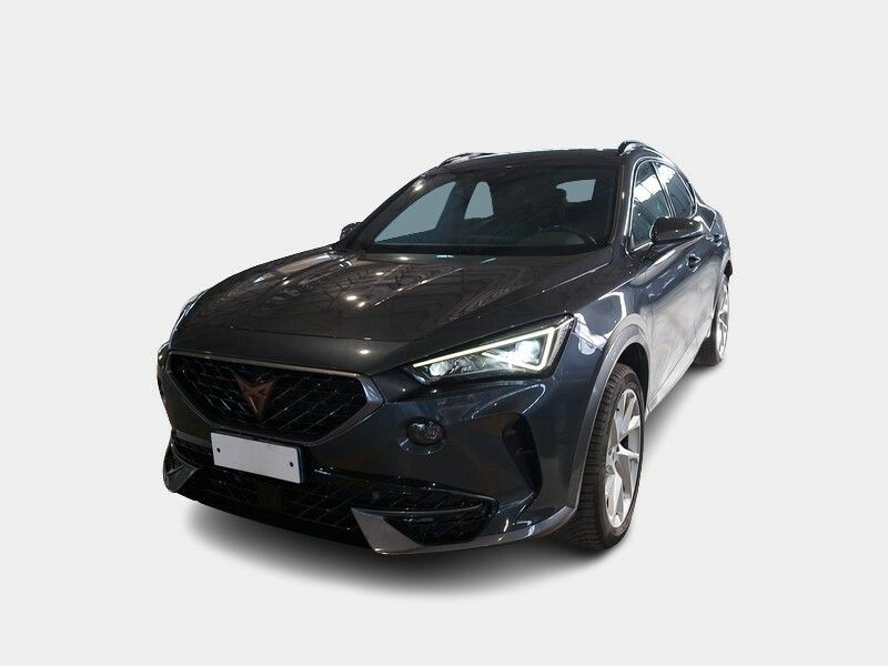 Cupra CUPRA FORMENTOR 2.0 TDI 4DRIVE DSG SUV