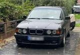BMW E34 525i Touring Executive - BMW 5er Reihe: Kombi, E34