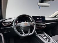 Cupra 