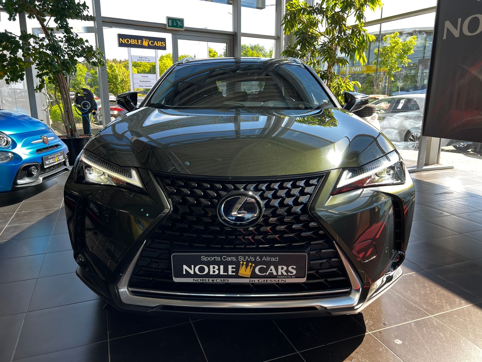 Fahrzeugabbildung Lexus UX 250 h Style Edition AHK RFK Full Link LED