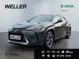 Lexus UX 250h Style Edition *Bi-LED*AHK*CAM*ACC*SHZ*PD - Lexus Gebrauchtwagen in Stuttgart
